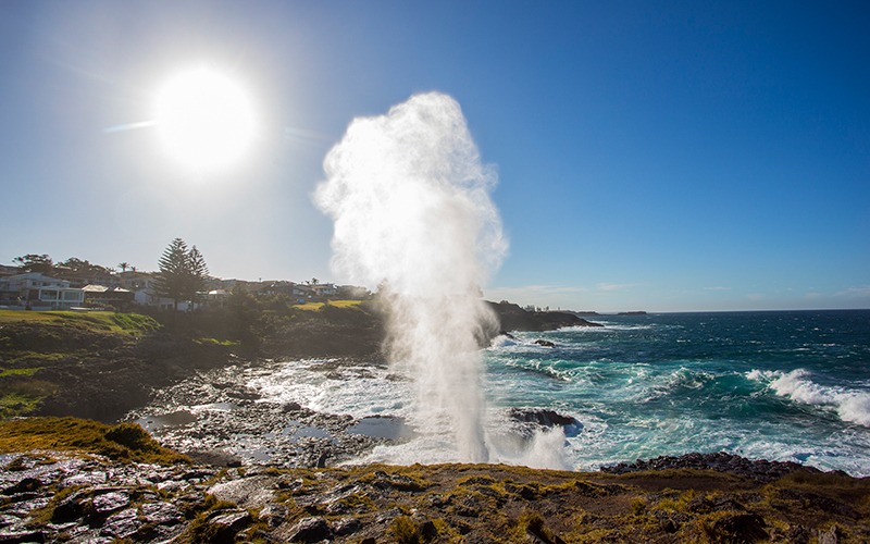 Water shooting out of Kiama blow hole on a sunny day